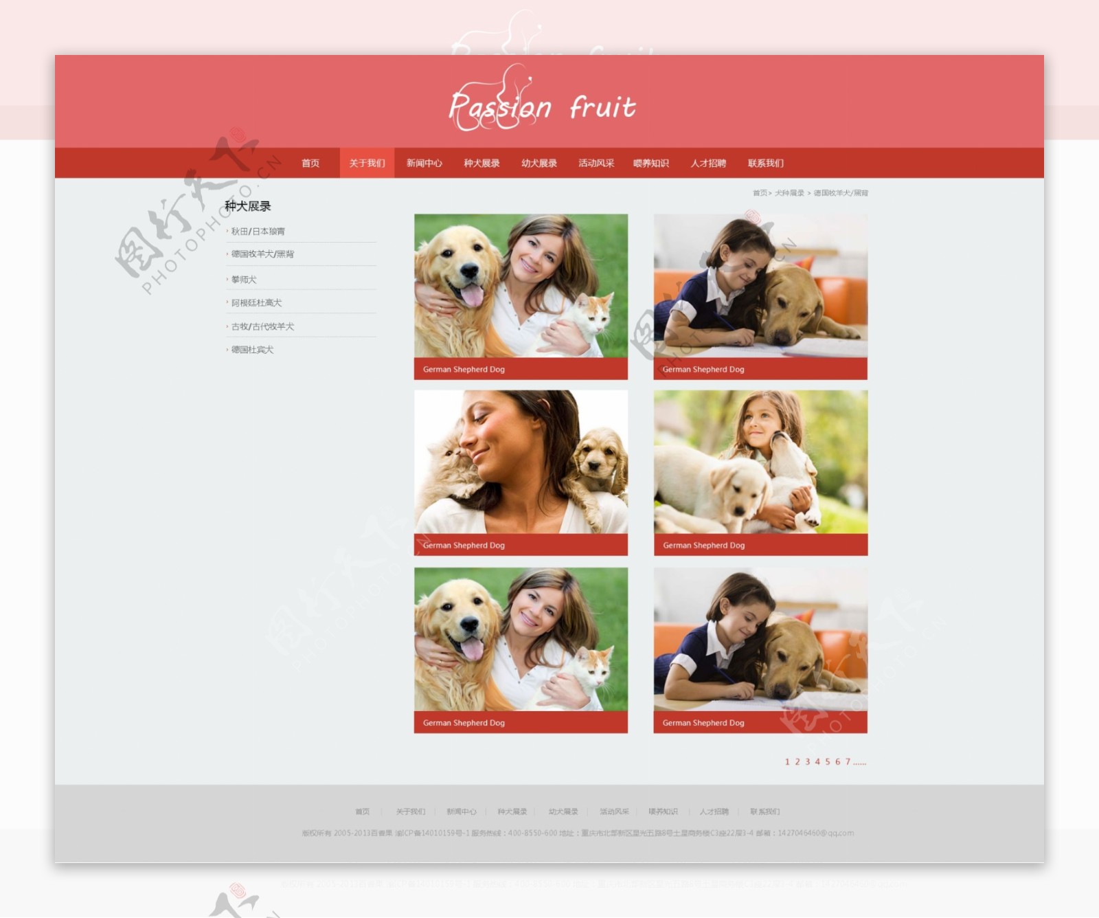 宠物网站模板设计产品列表页PSD源文件
