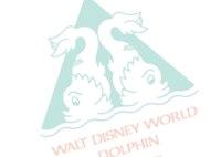 迪士尼世界的海豚