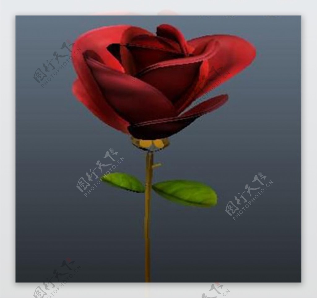 艳红的玫瑰游戏模型