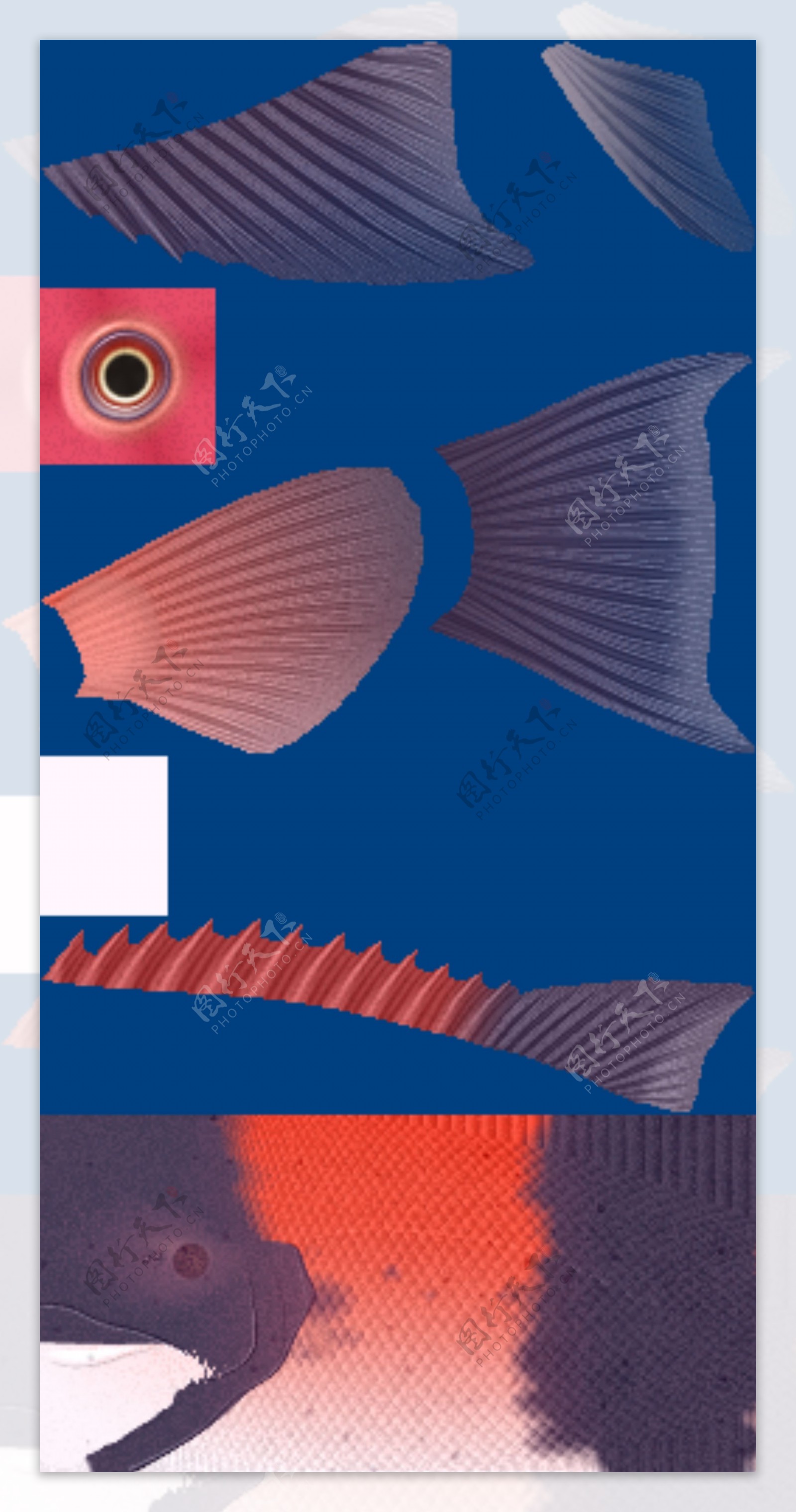 动物鱼类3d模型动植物模型免费下载鱼类3d素材63