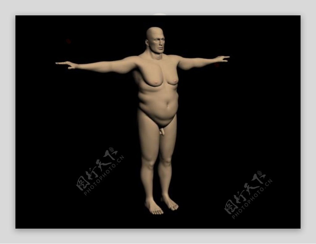 男人体模型011