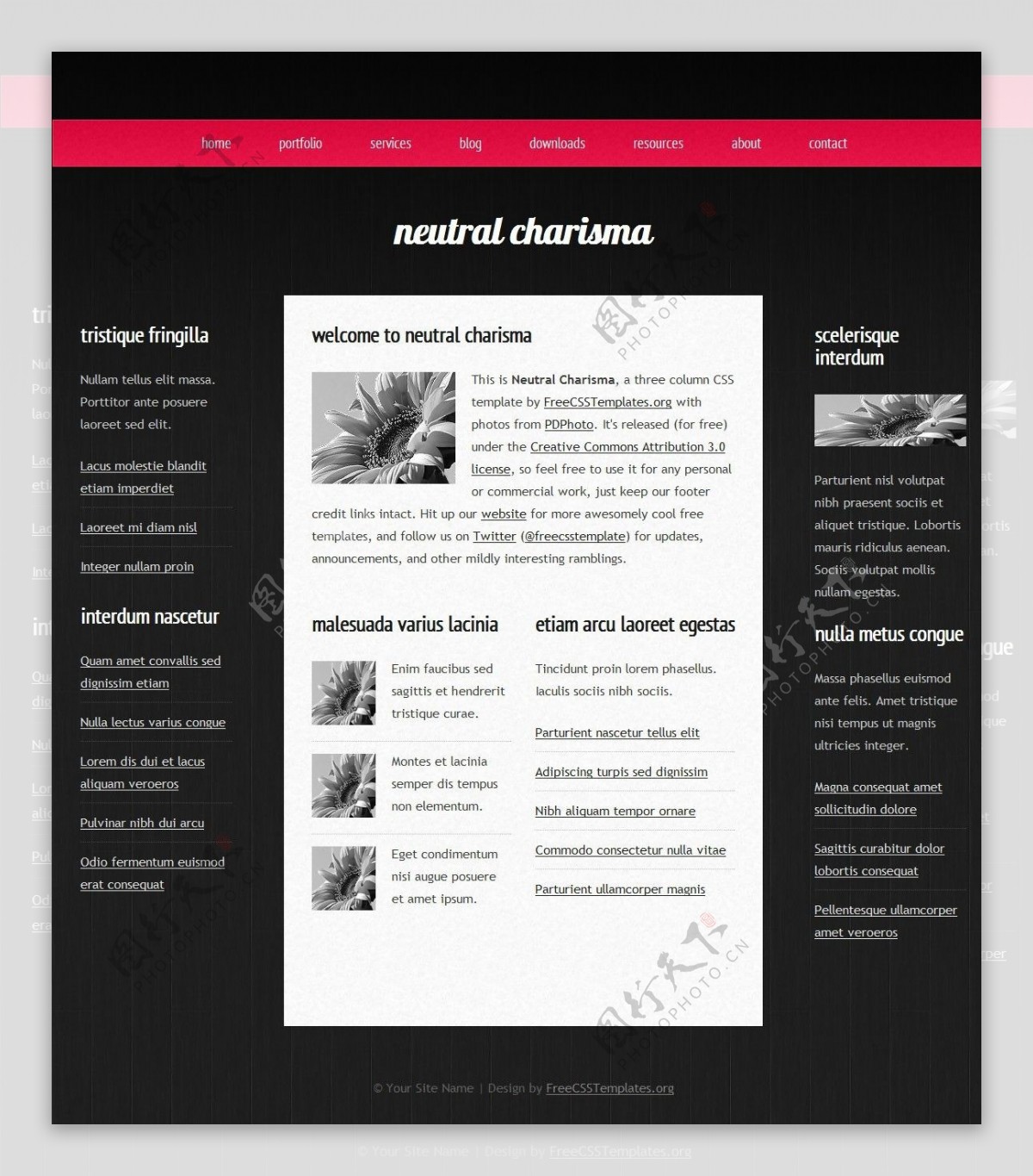 黑色中性魅力三列网页模板