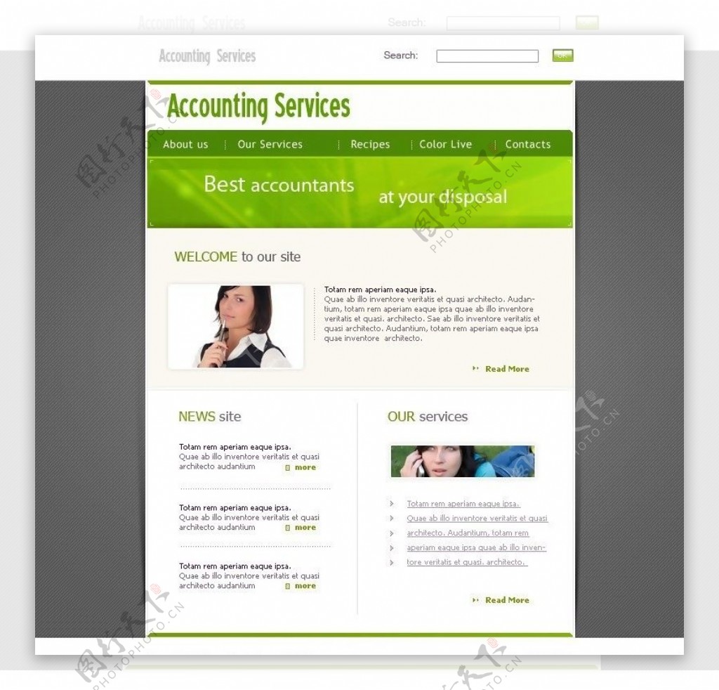 绿色会计服务公司网页模板