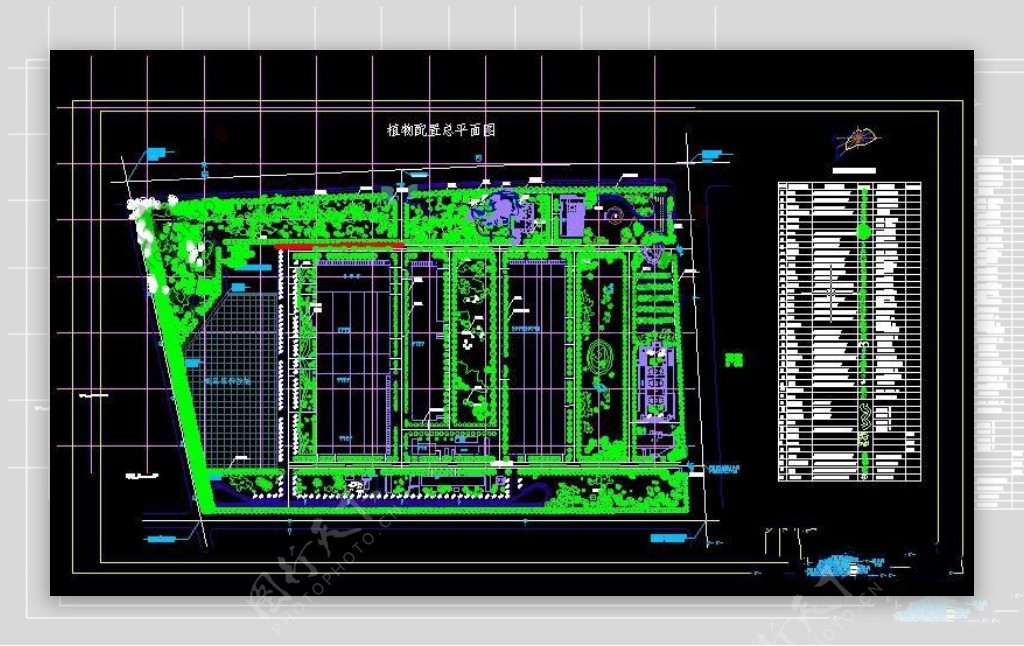 植物配置总平面图