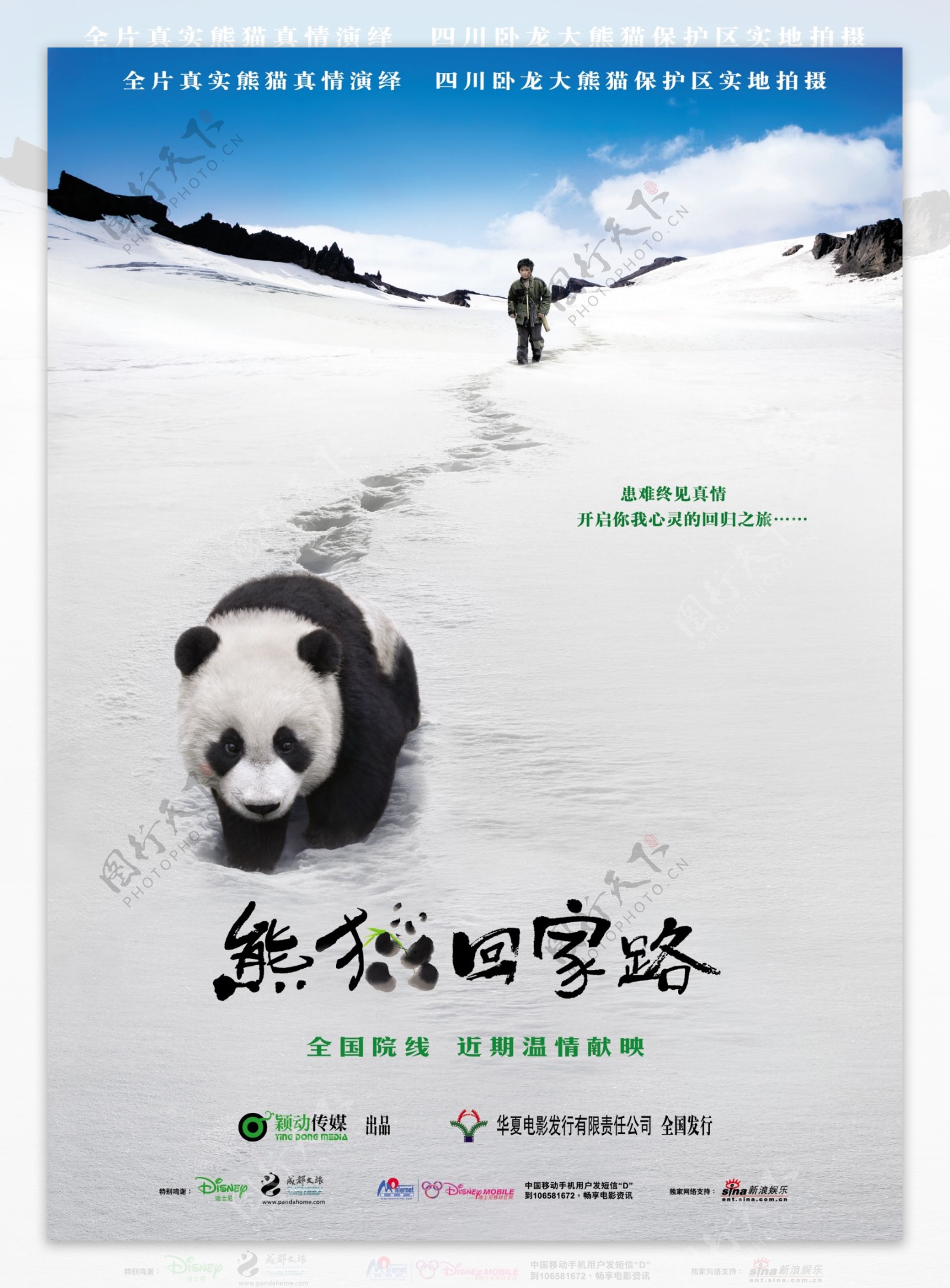 熊猫回家路电影海报设计