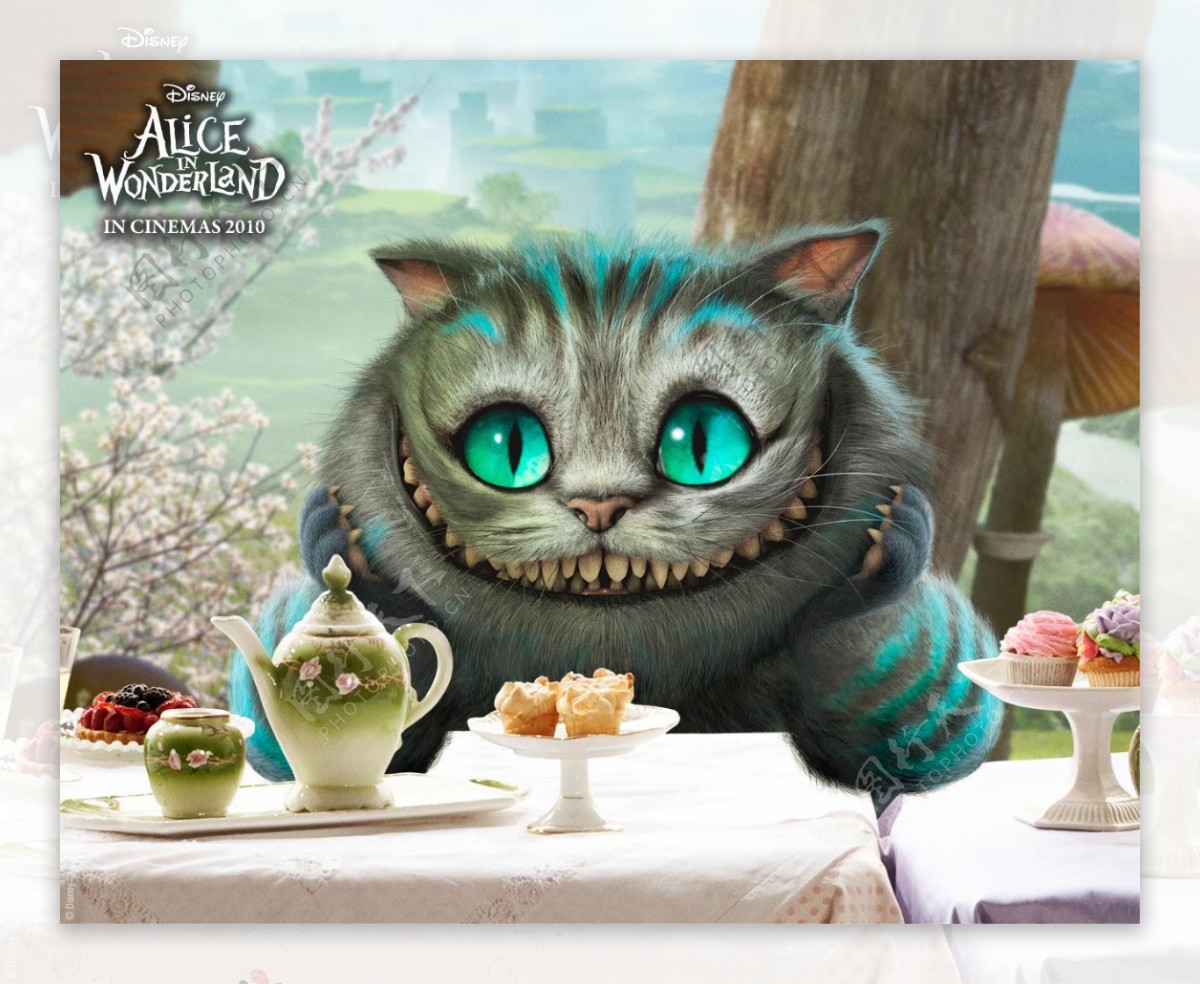 猫爱丽丝梦游仙境图片