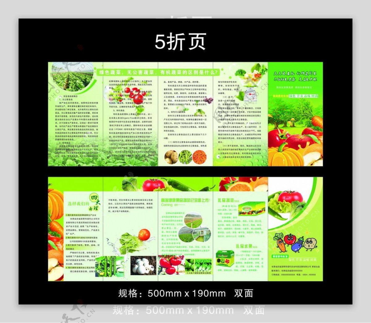 蔬菜折页图片