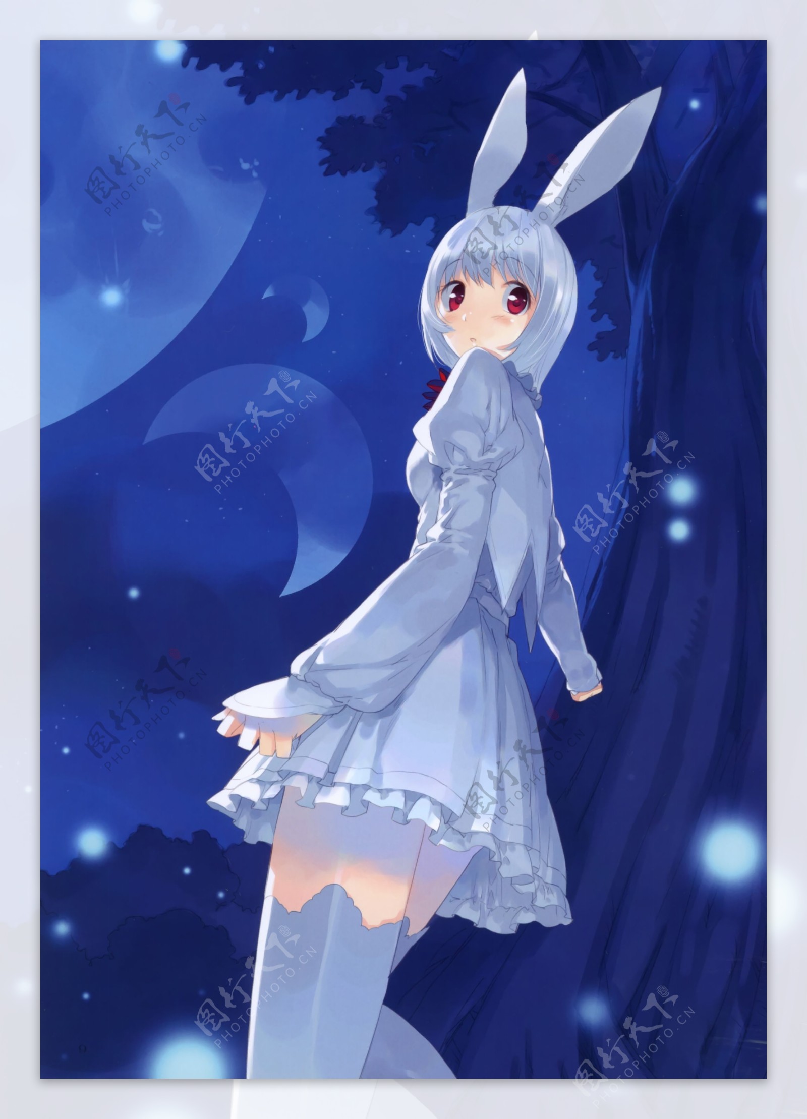 高清动漫夜色下的兔女郎图片
