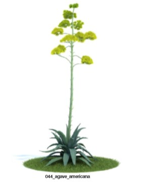 植物3D模型下载
