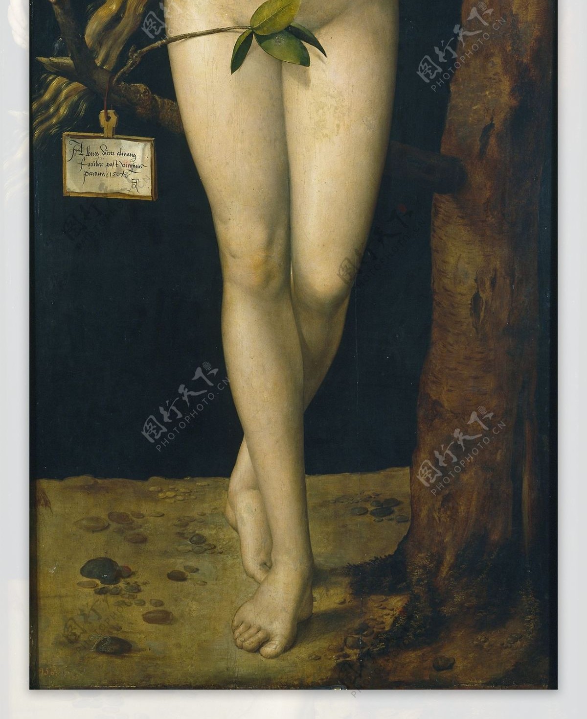 DurerAlbrechtEve1507德国画家阿尔弗雷德丢勒AlbrechtDrer人物肖像油画装饰画油画
