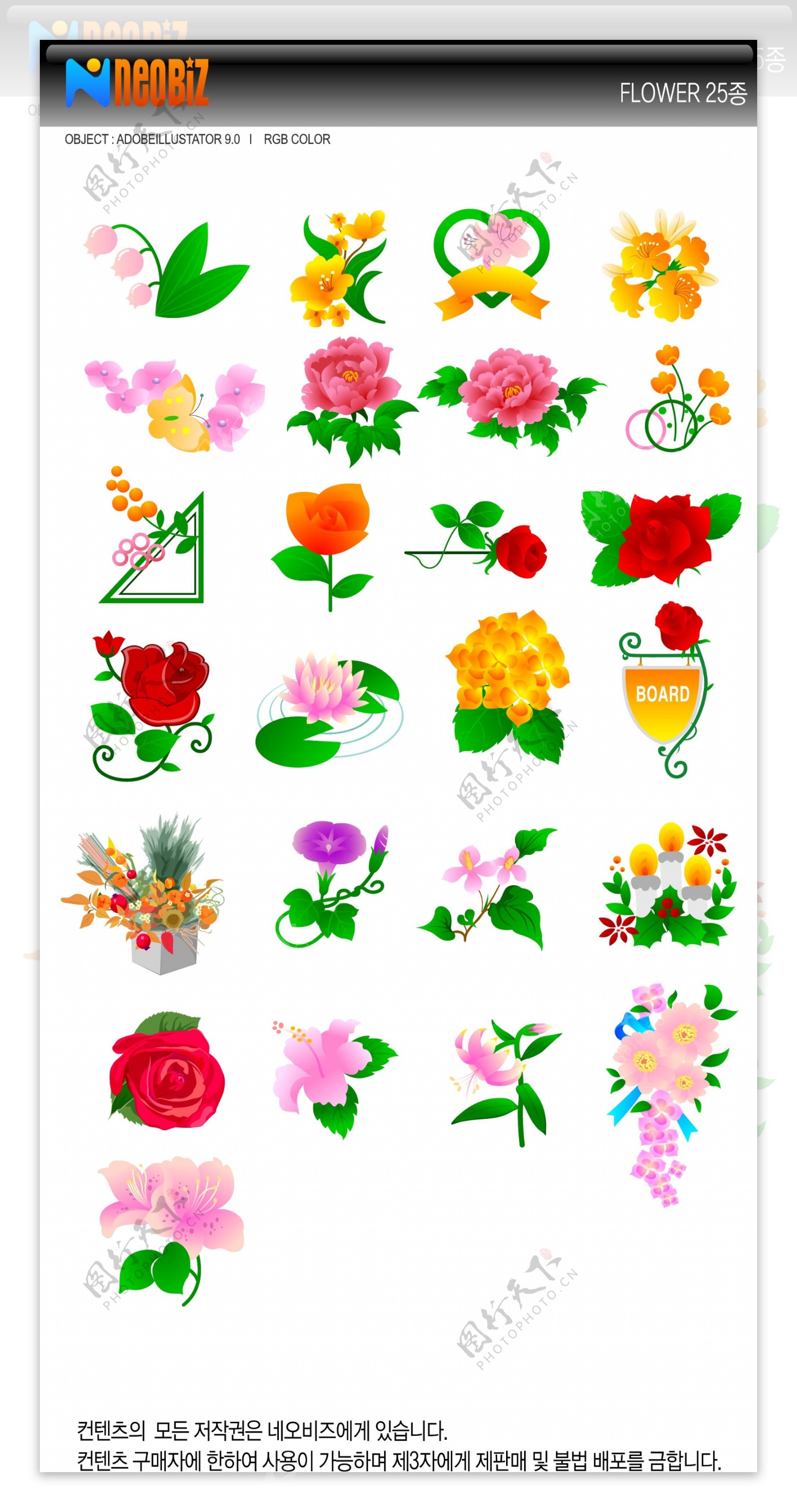 牡丹玫瑰郁金香和其他花朵矢量素材