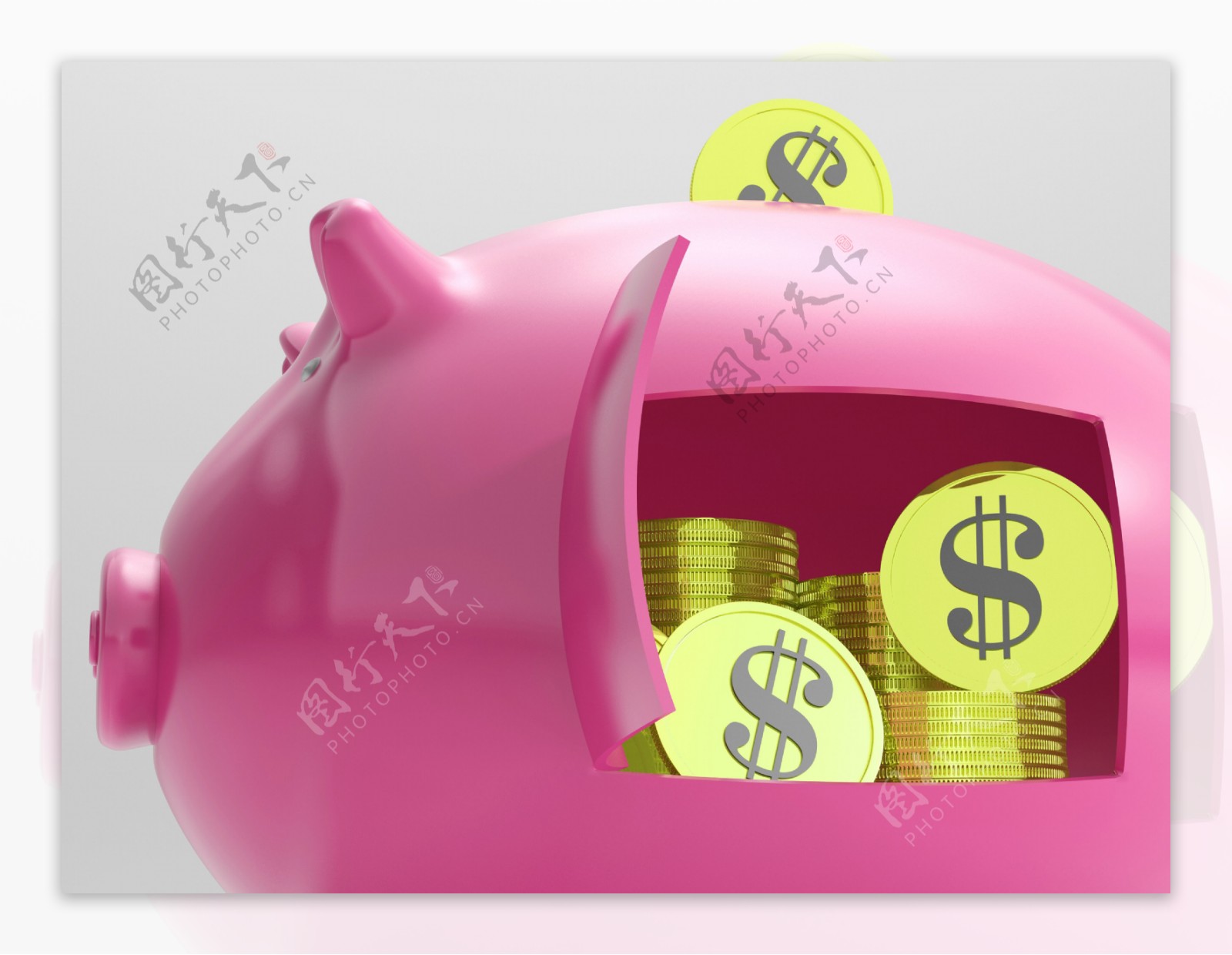 美元的小猪显示货币投资