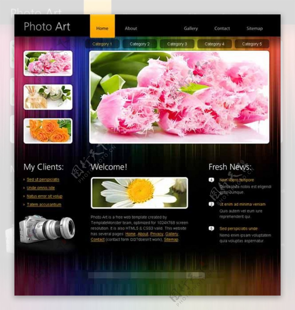 鲜花摄影网站模板