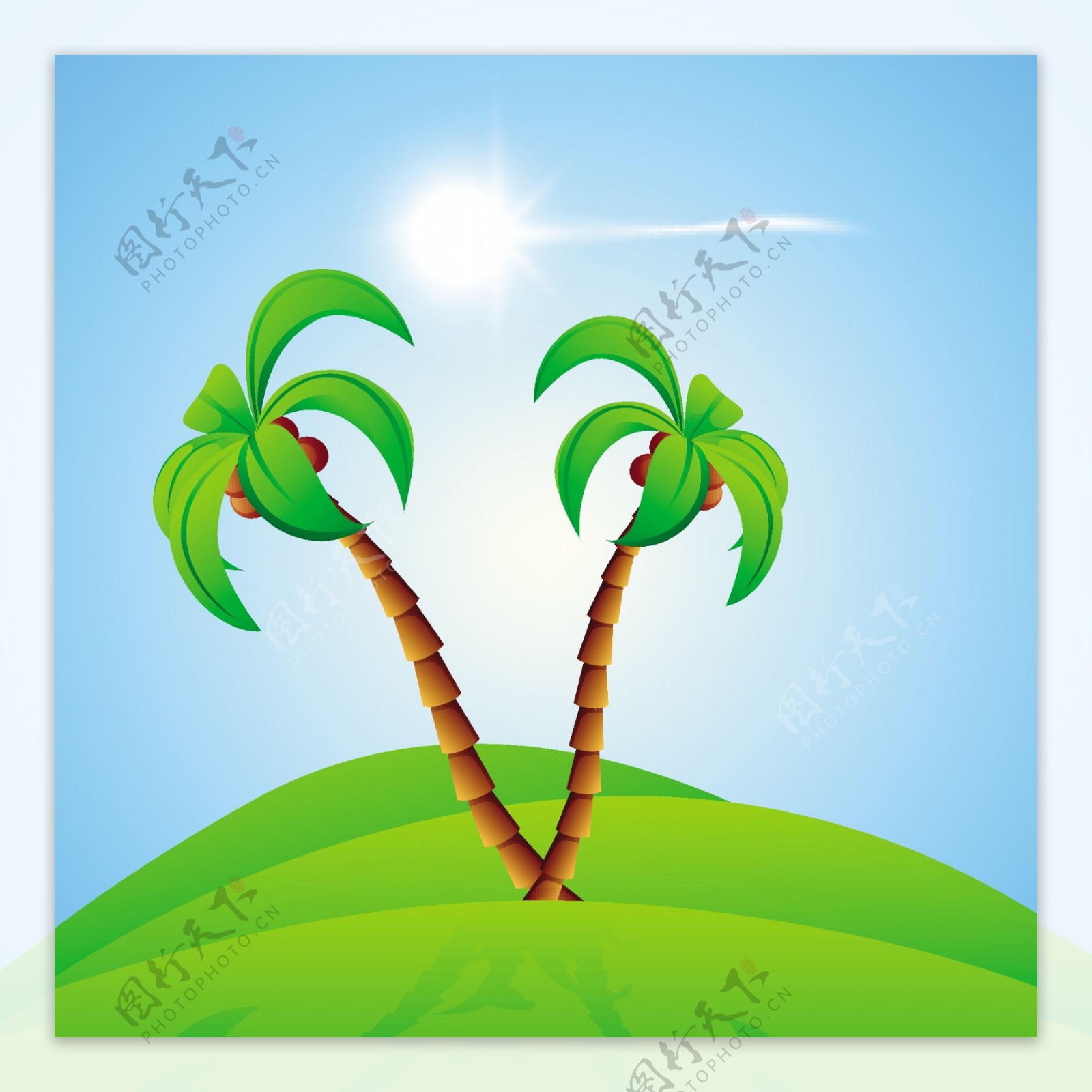 棕榈树和明媚的阳光摘要夏季背景