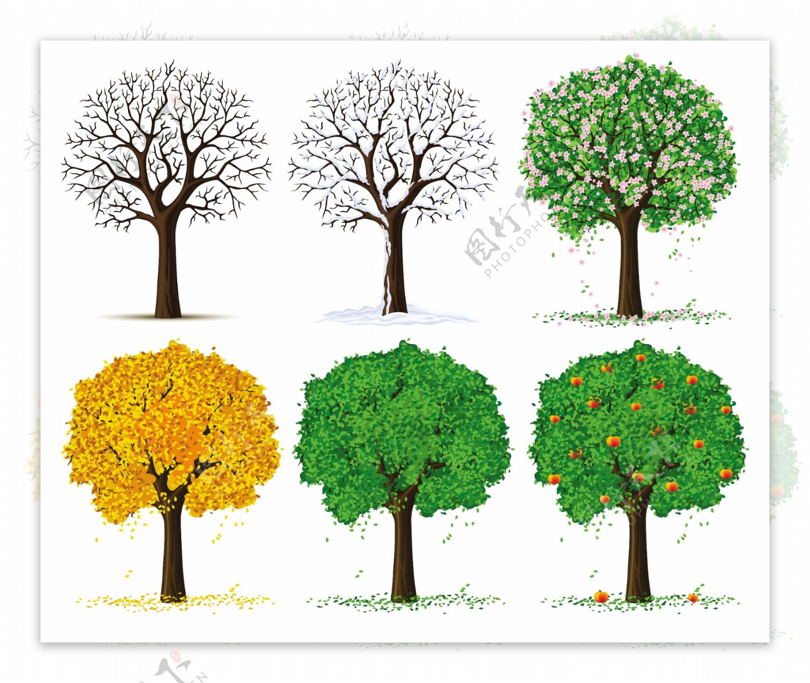 四季的树木矢量素材下载