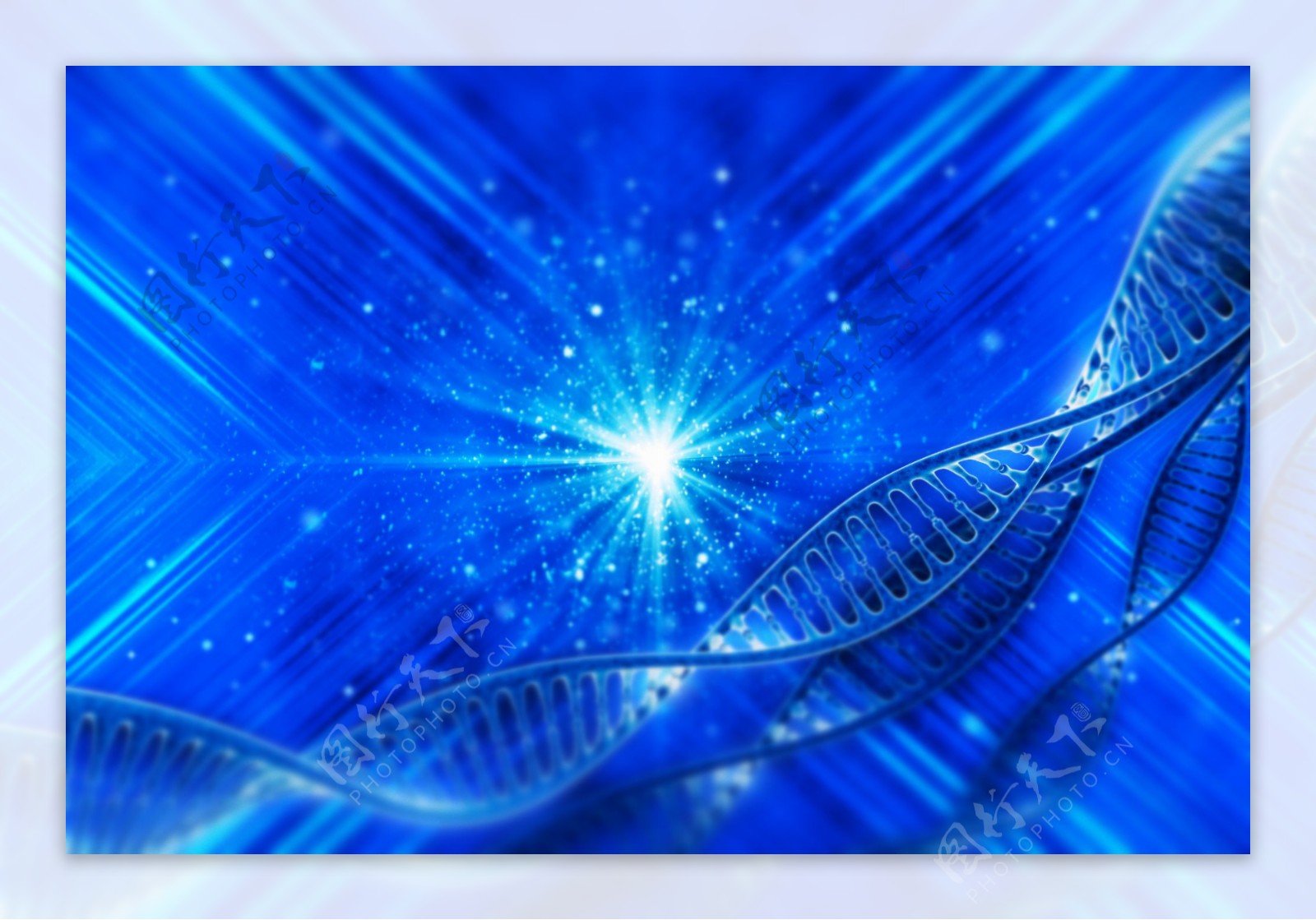 DNA遗传基因图片素材-编号08648660-图行天下