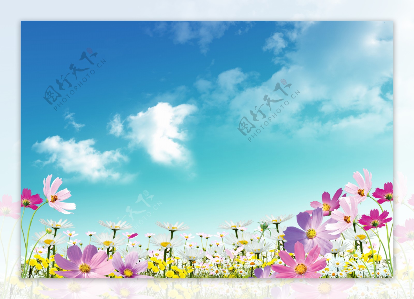 高清时尚蓝天鲜花背景设计素材摸板
