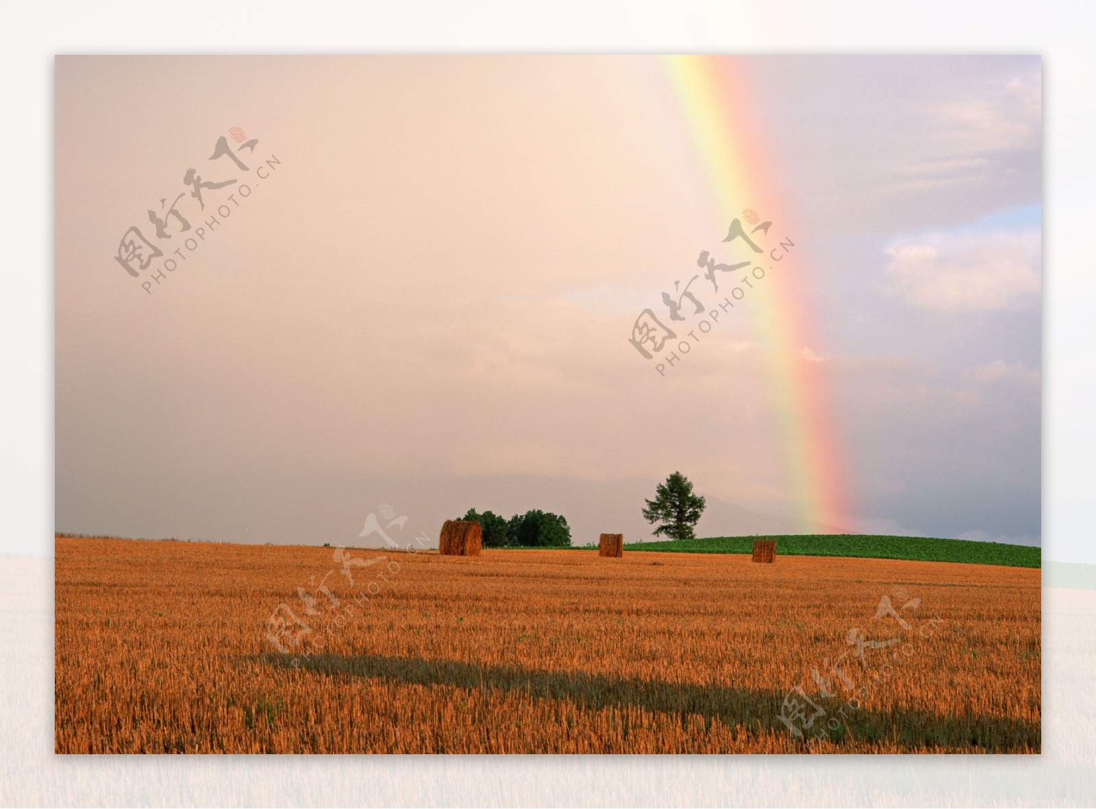 田野上的彩虹