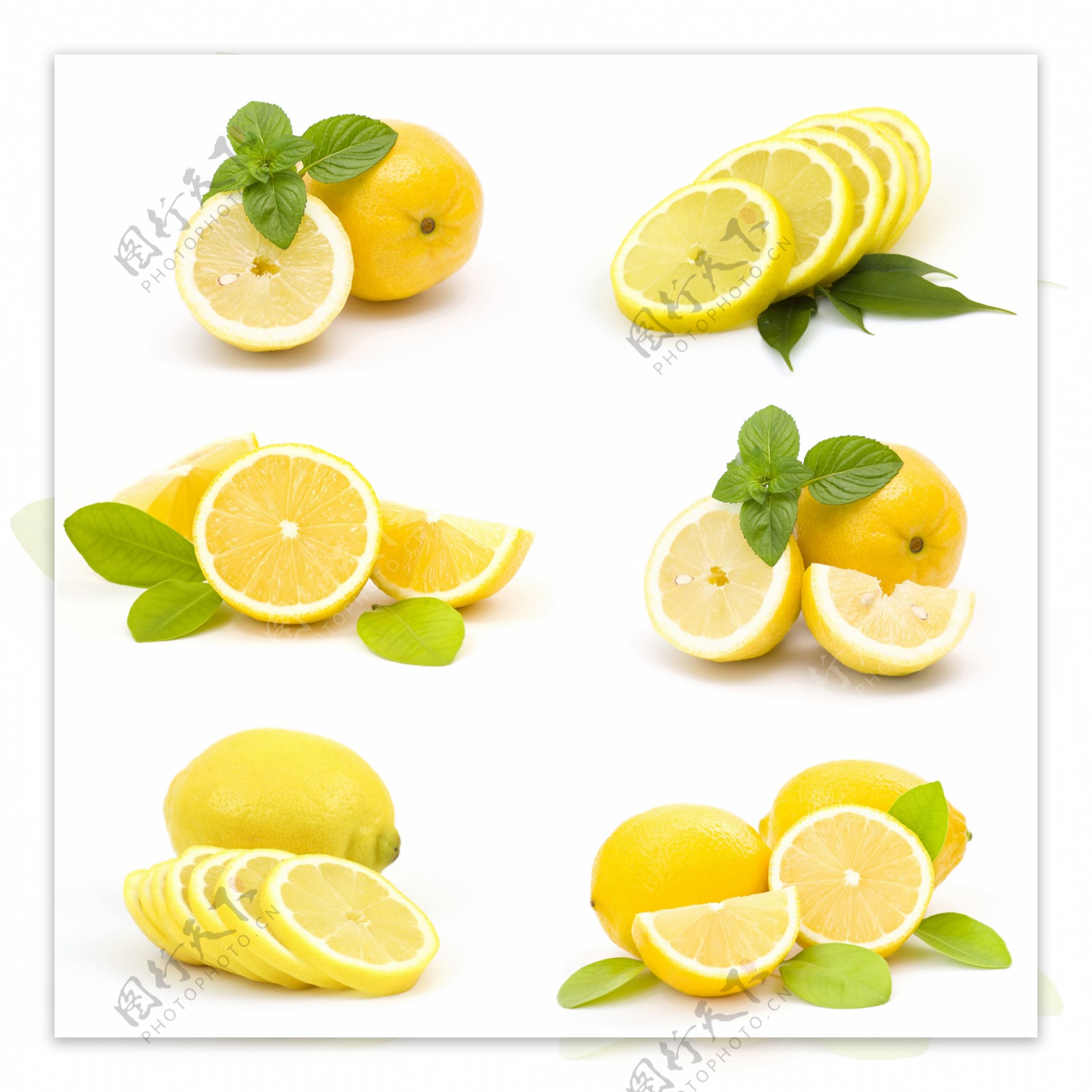柠檬高清组图