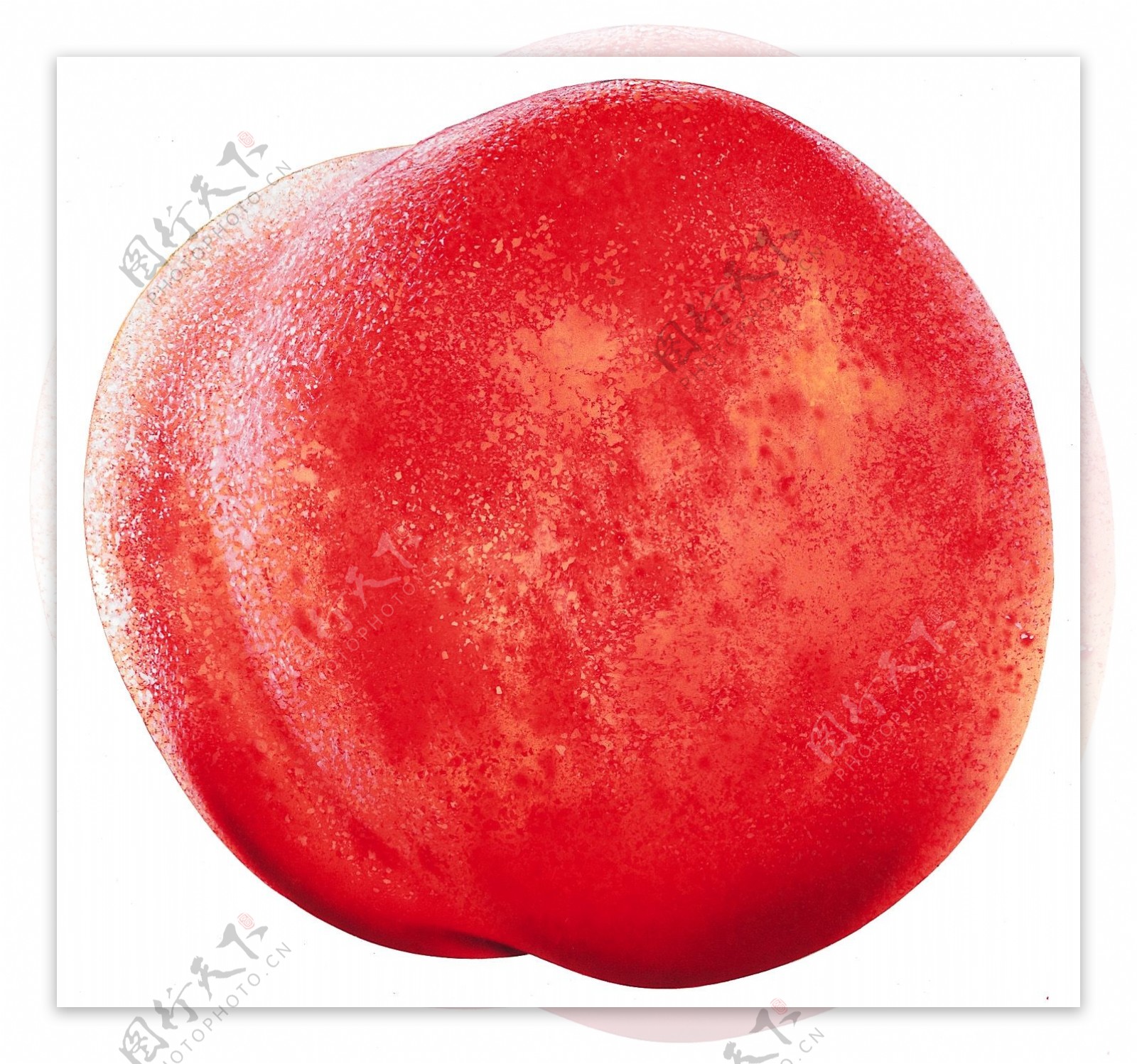 红桃子水蜜桃图片桃子素材