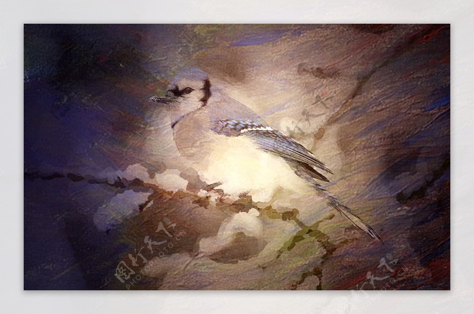 雪中鸟油画1图片