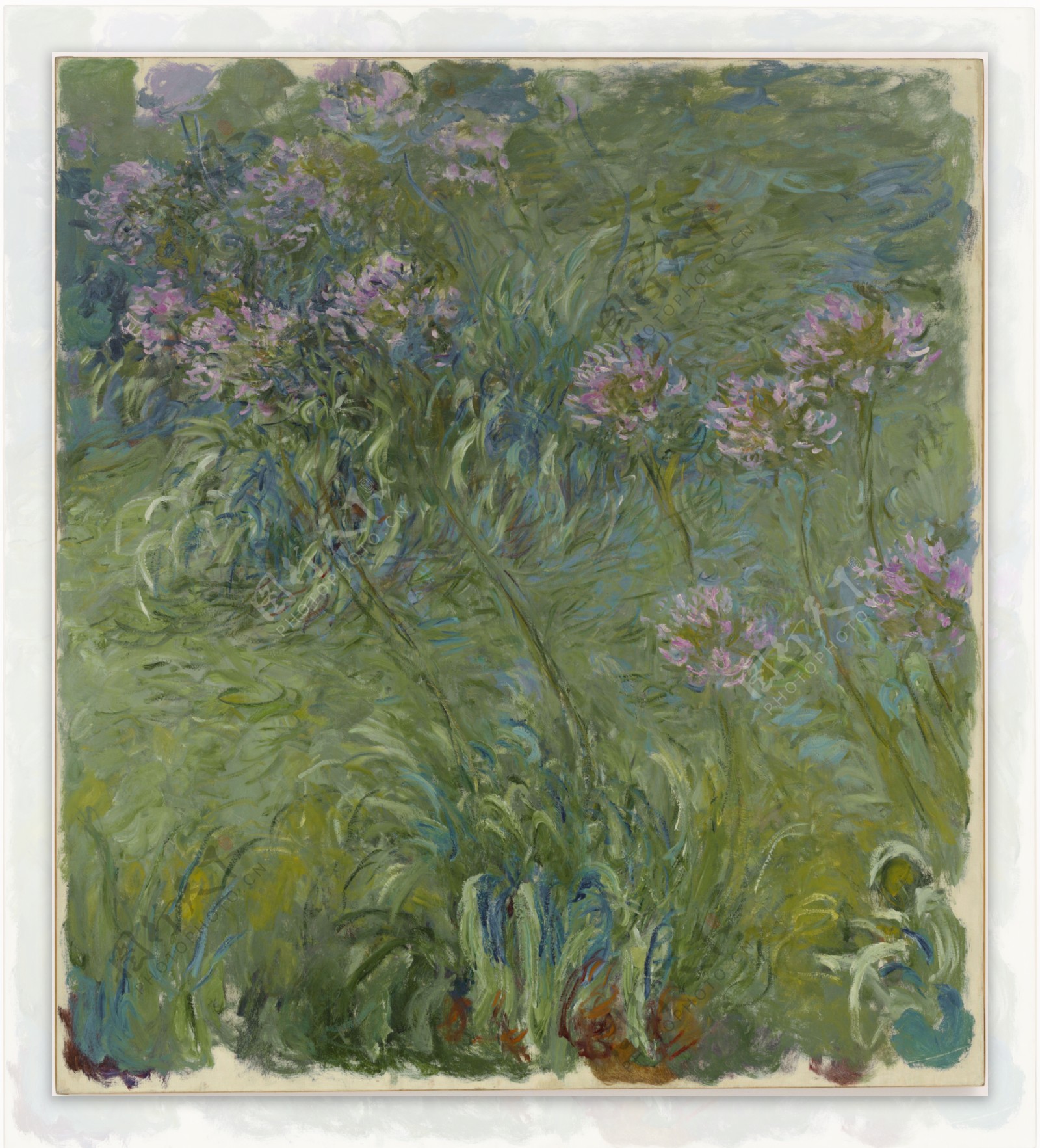 Agapanthus191417法国画家克劳德.莫奈oscarclaudeMonet风景油画装饰画