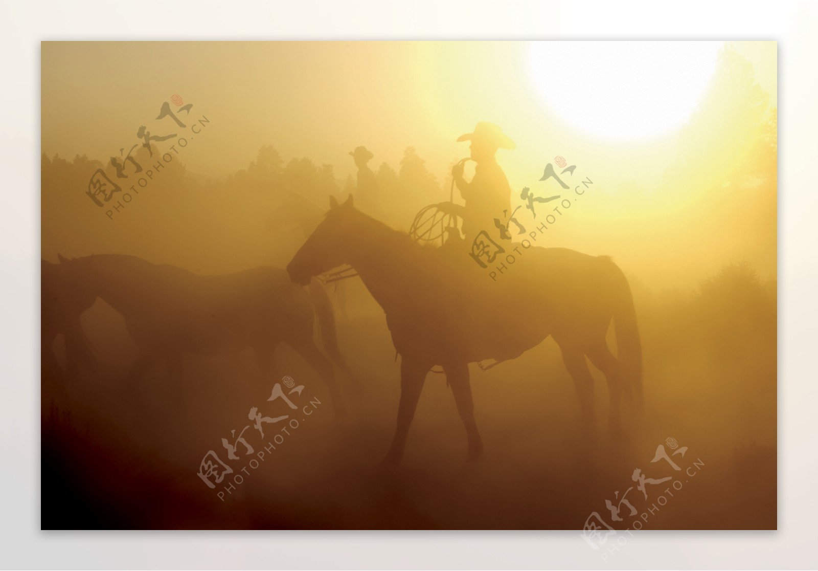 浓雾中骑马的人