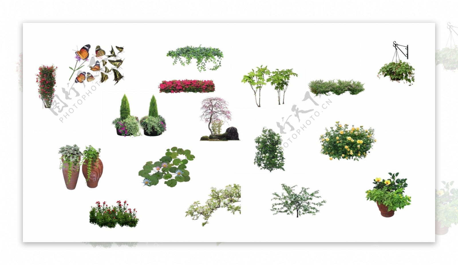 花灌木植物素材psd图片