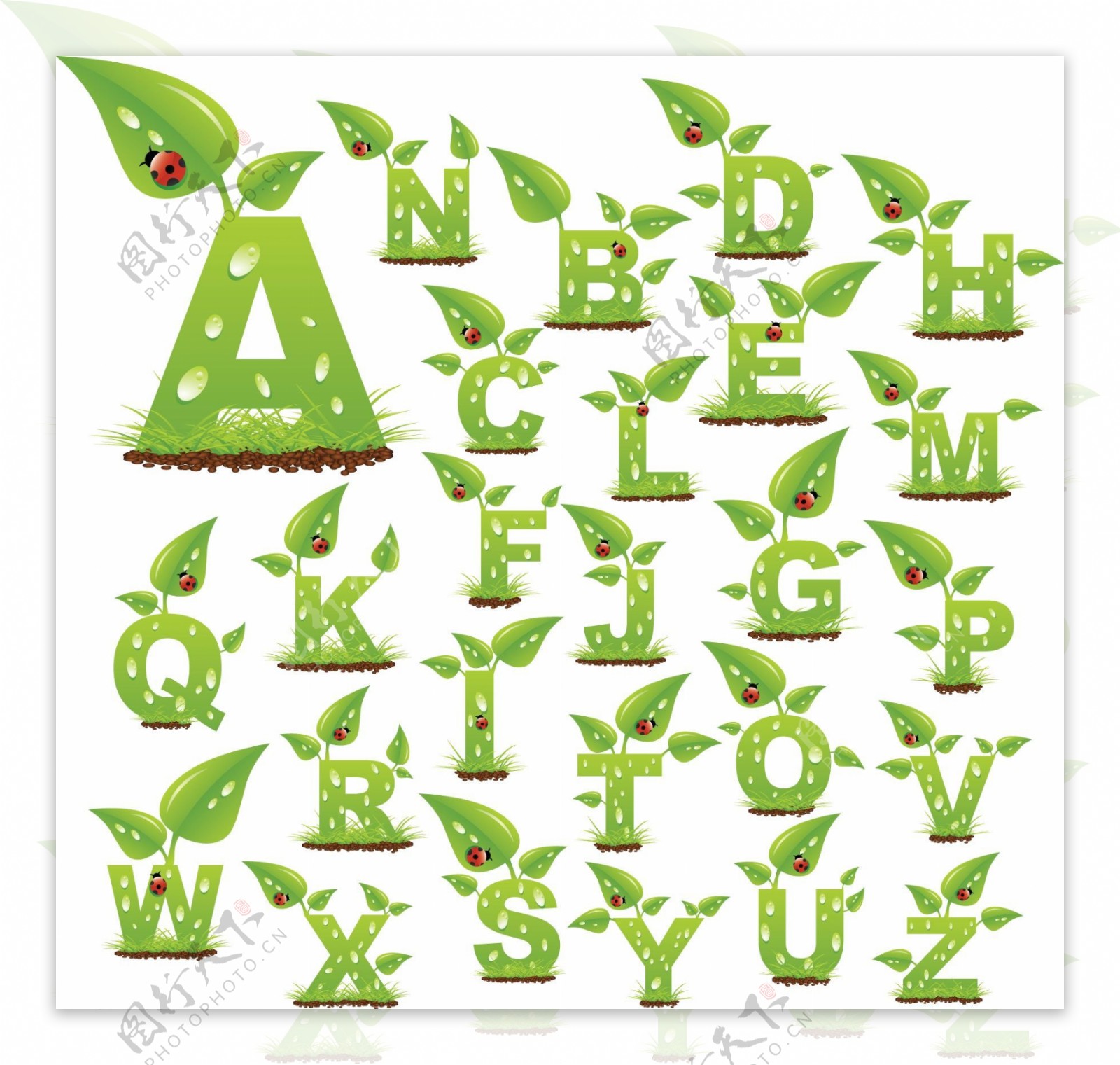 绿叶水珠装饰英文字母矢量素材