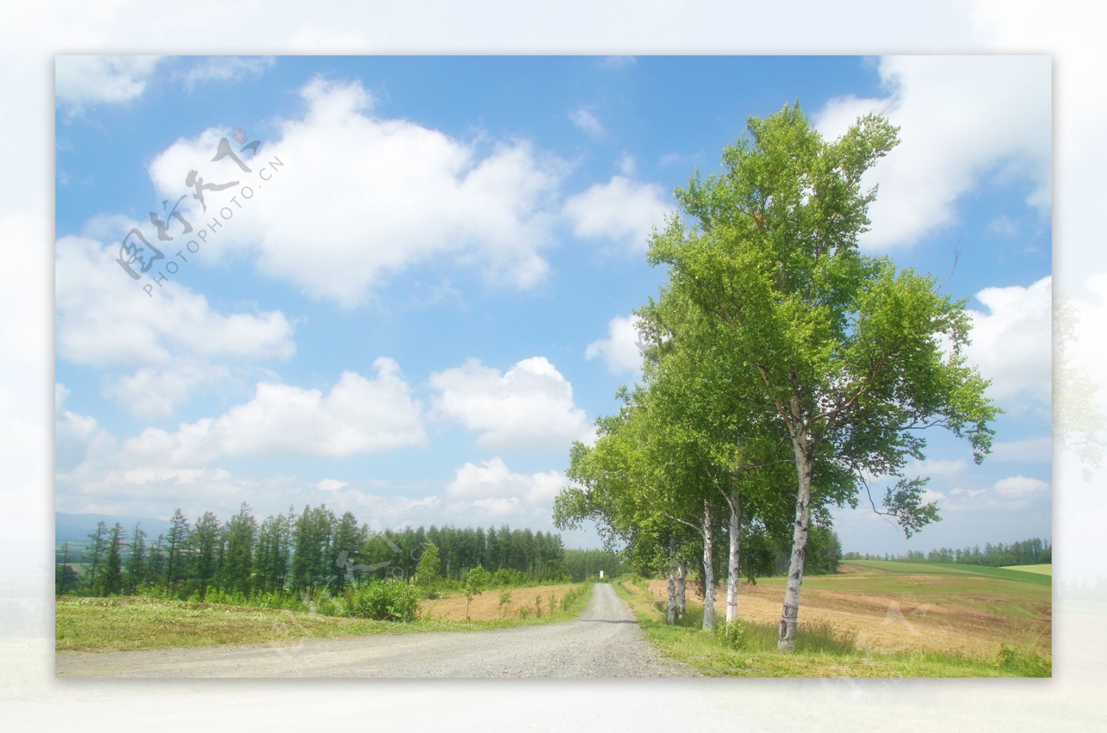 高清风景素材乡村路