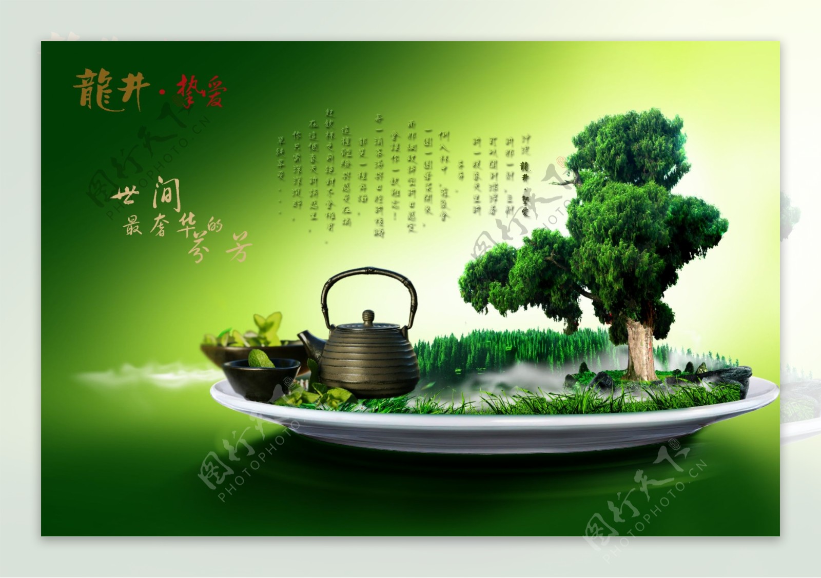 绿茶龙井图片