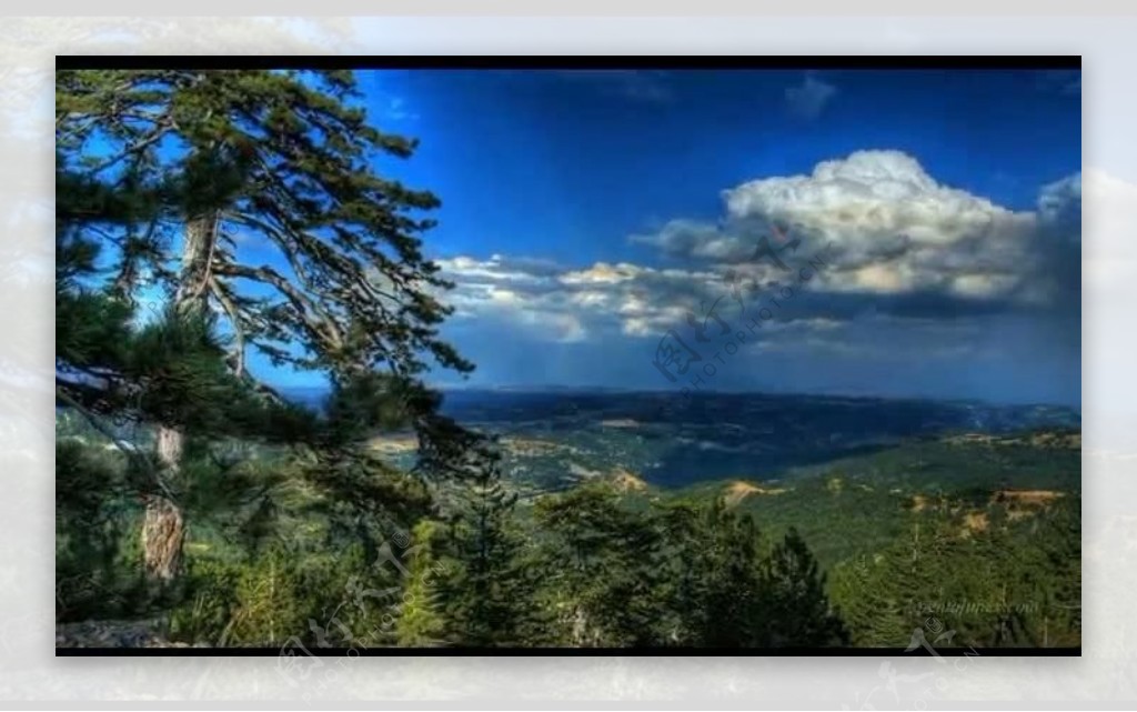 蓝天白云树木海岸视频图片