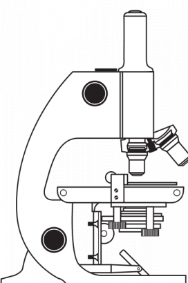 显微镜的矢量绘图