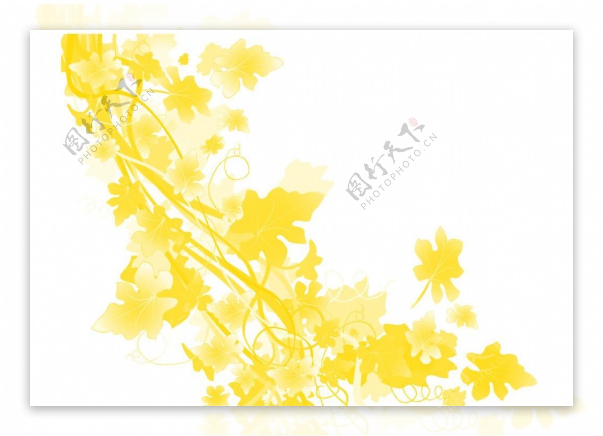 漂亮秋季金色蔓藤笔刷图片