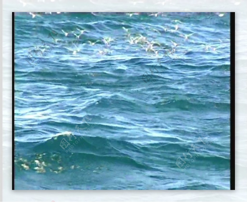 动态大海海水视频素材素材下载