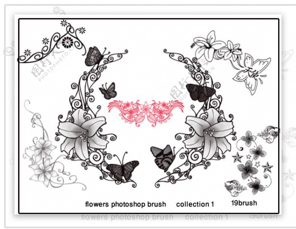 高清晰矢量花朵花边花纹ps装饰笔刷合集图片