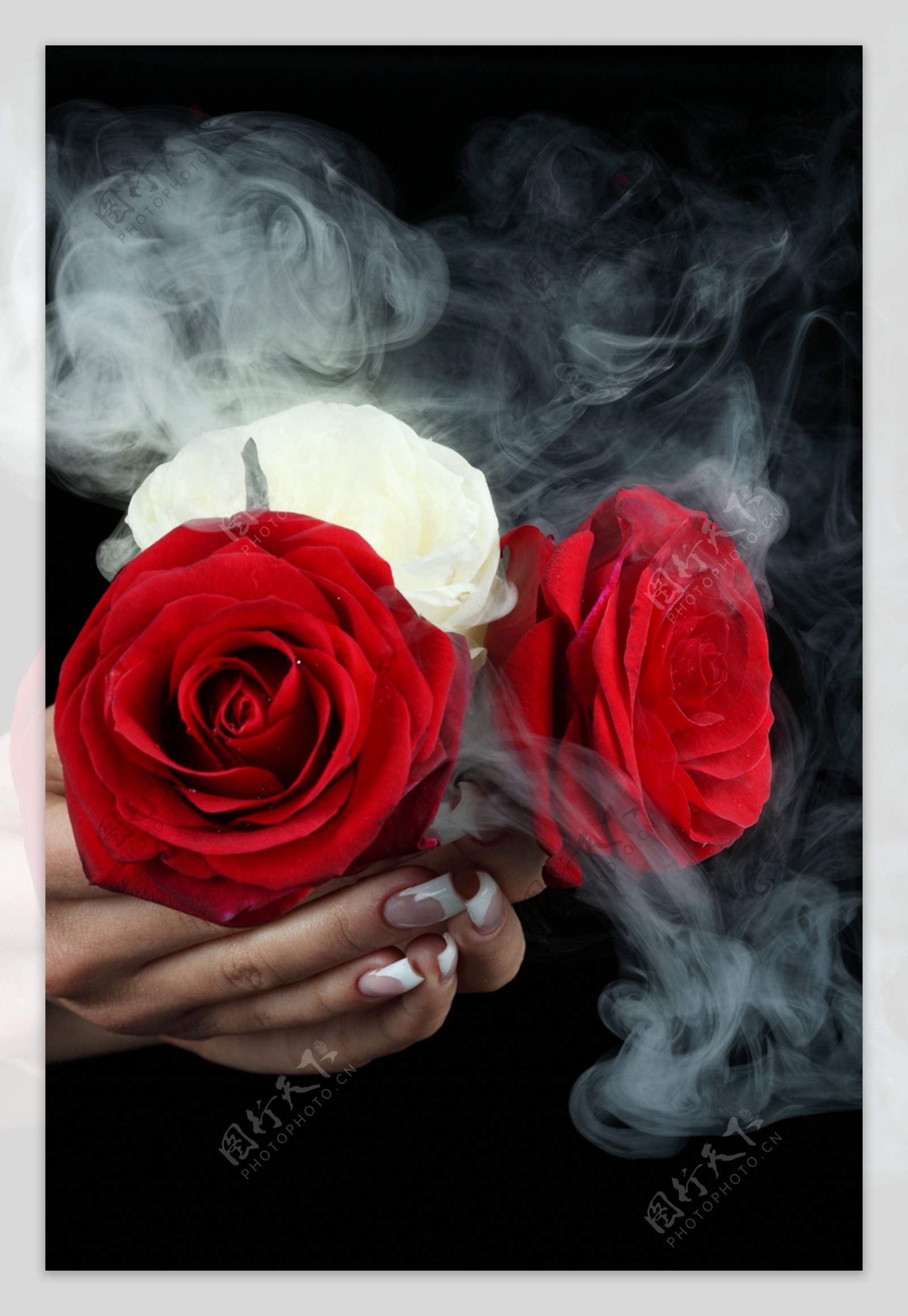指甲玫瑰烟雾图片