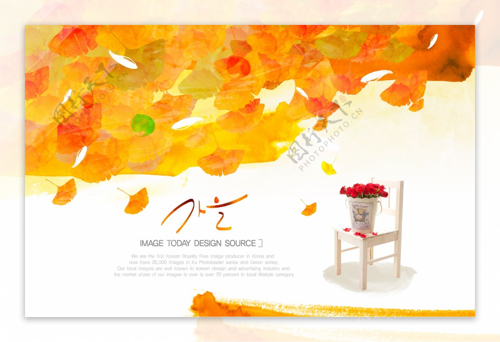 秋叶与花朵封面设计PSD素材