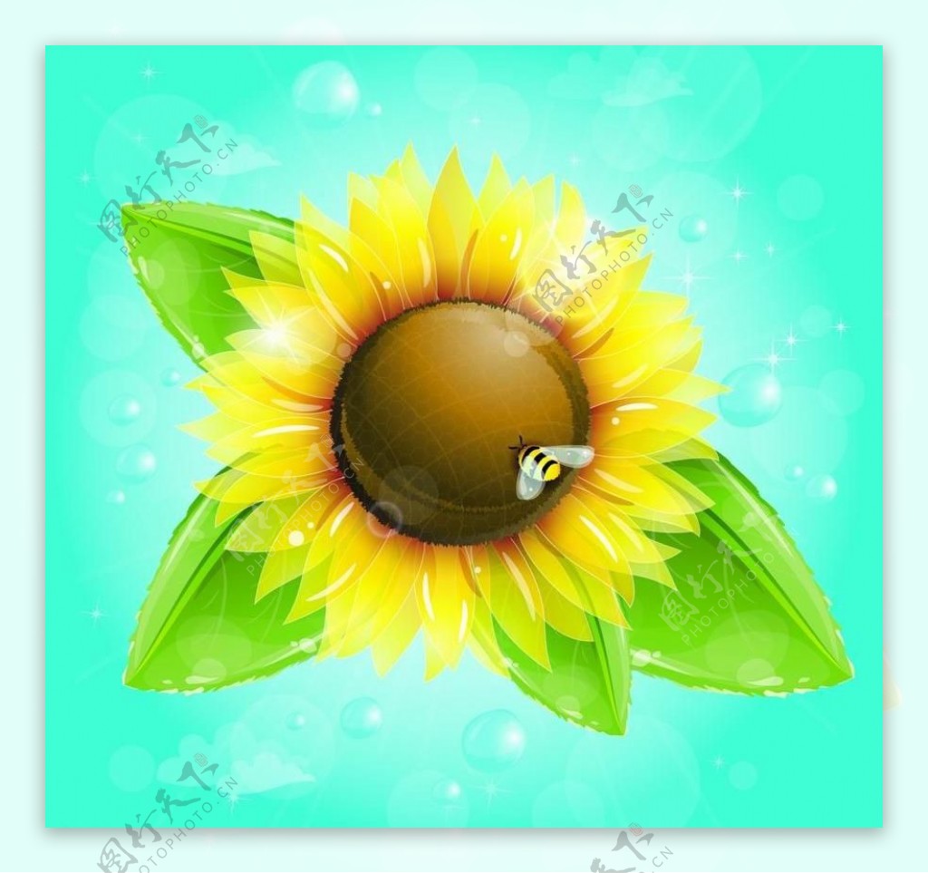 太阳花蜜蜂梦幻背景图片