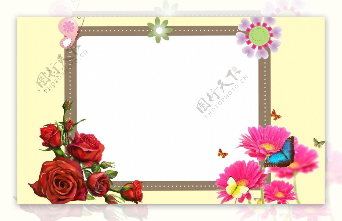 玫瑰花朵相框图片