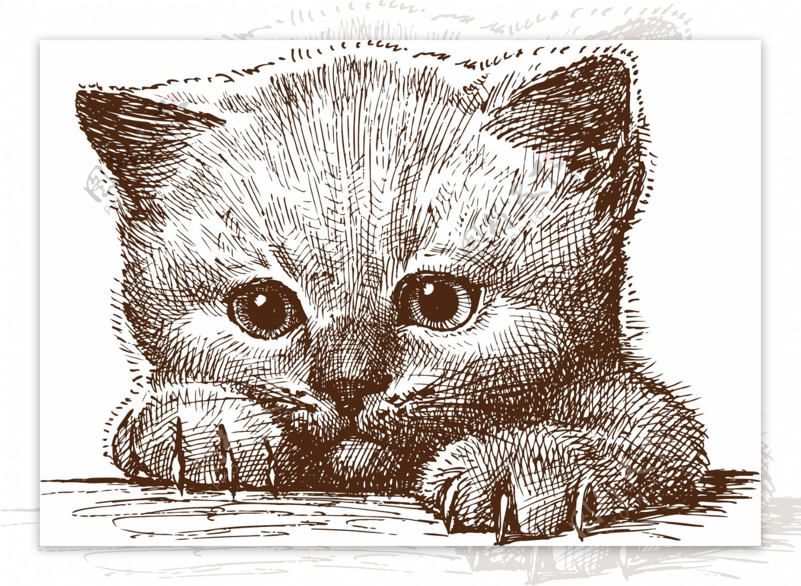 可爱手绘小猫矢量素材