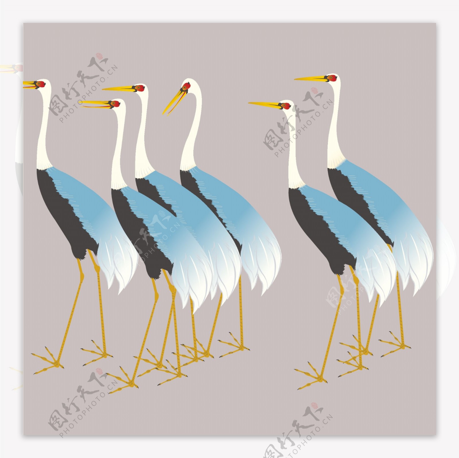 印花矢量图动物鸟类仙鹤色彩免费素材