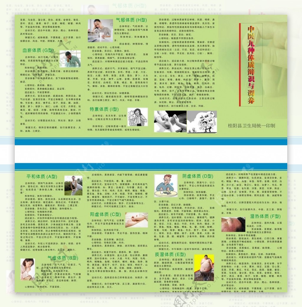 中医九种体质4折页图片