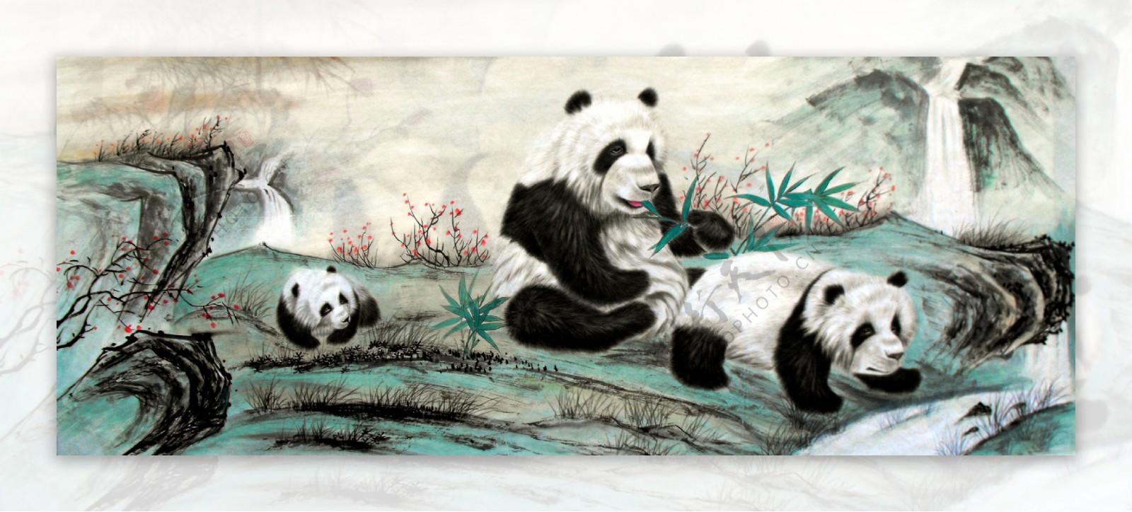 国宝熊猫图片