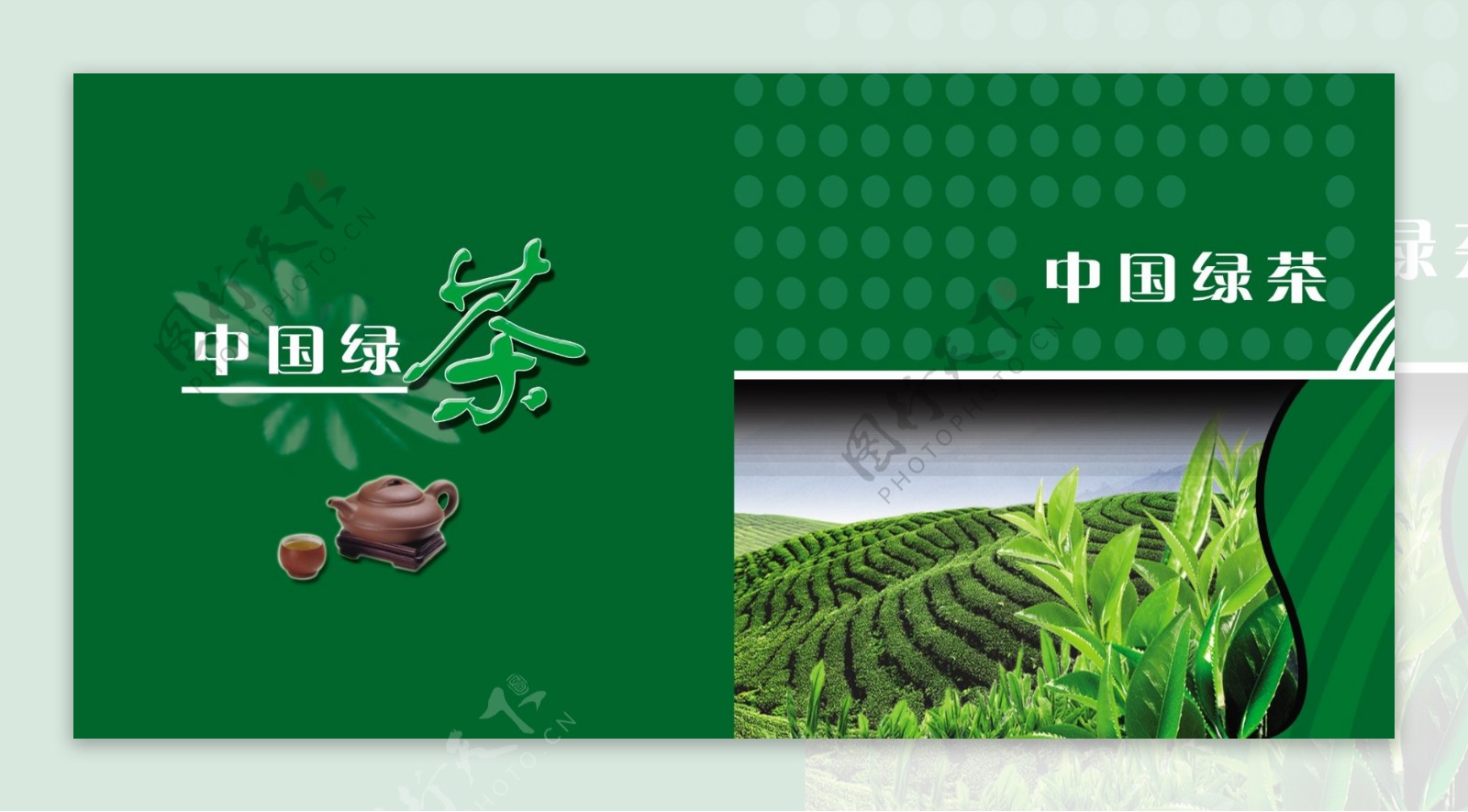 中国绿茶图片