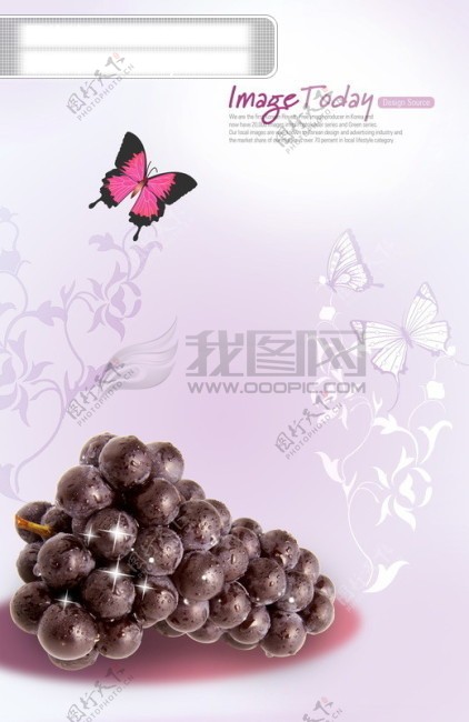 水果瓜果蔬菜青菜食品韩国花纹图库2psd分层素材源文件