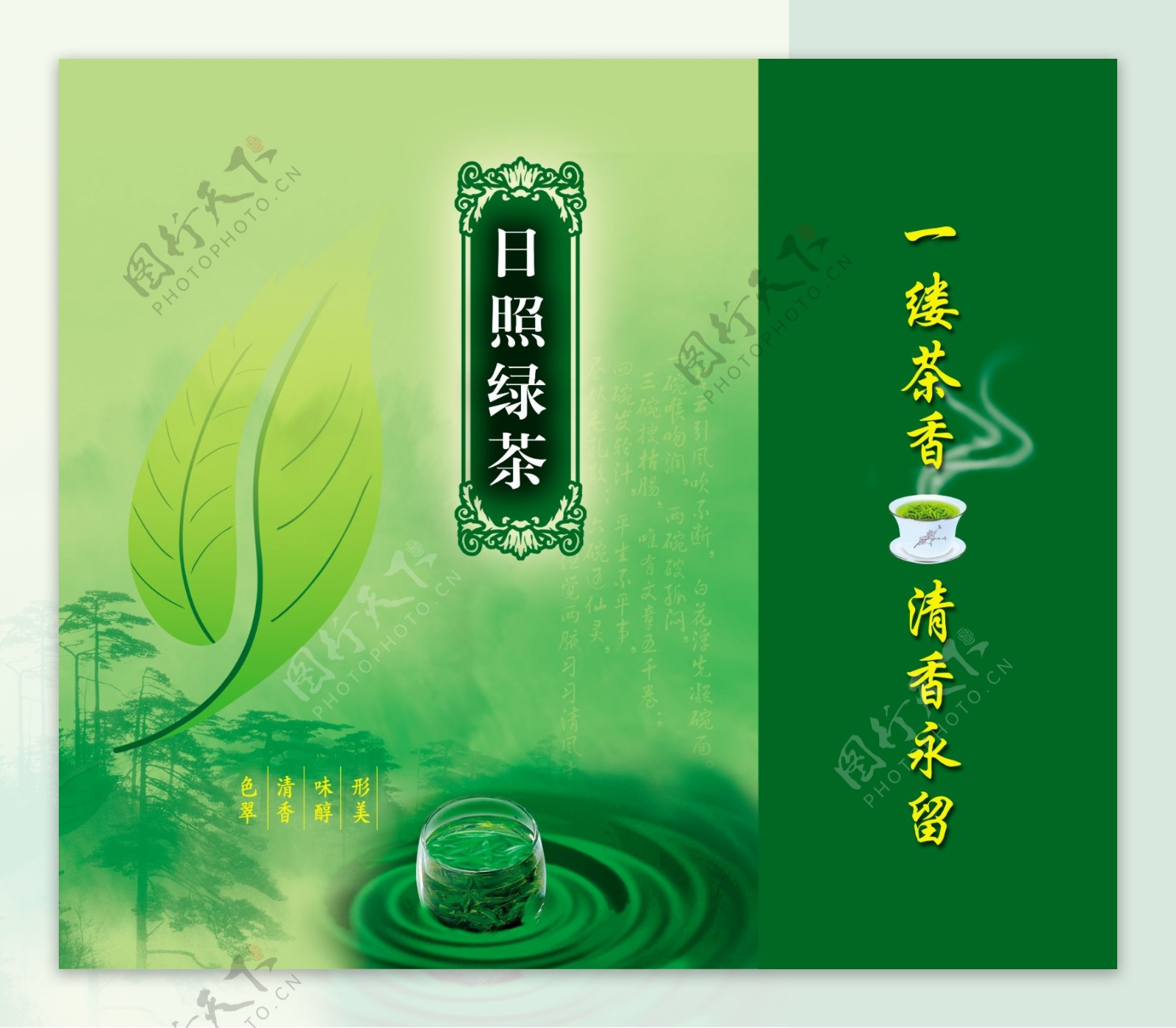 日照绿茶包装图片