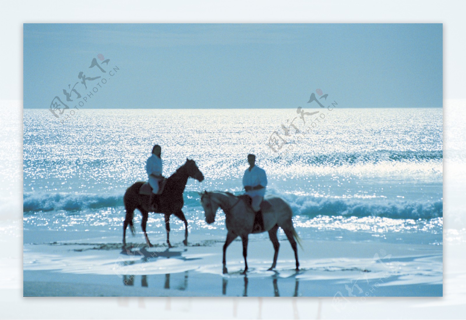 海滩骑马图片