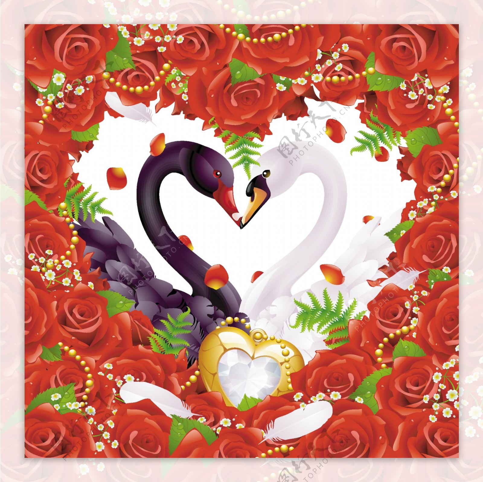 爱浪漫的玫瑰红天鹅主题矢量素材