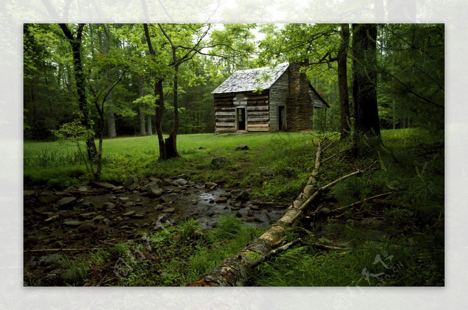 森林里的小木屋